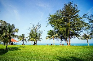 Cheratingbeach1.jpg Cheratingbeach1.jpg